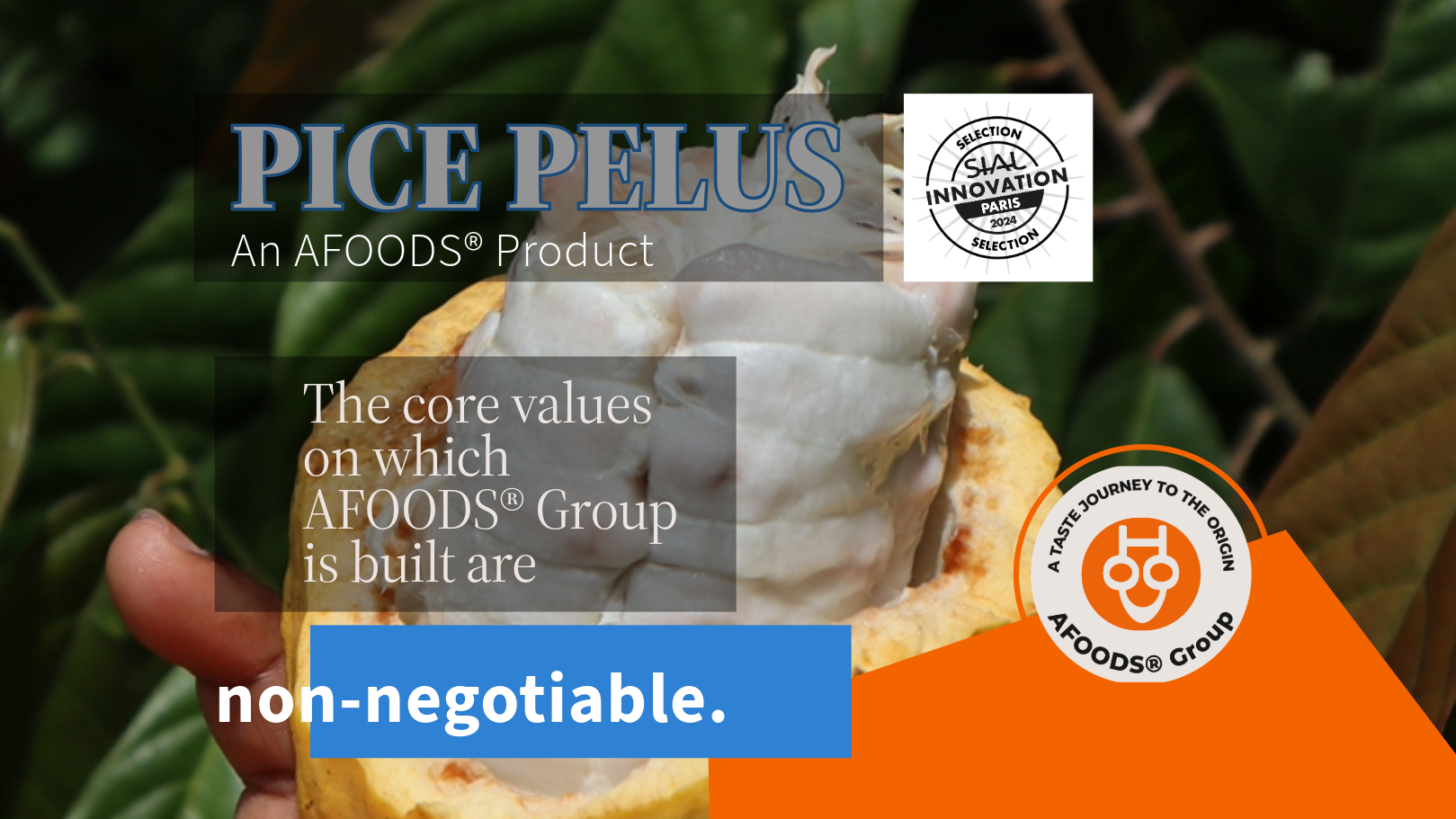 AFOODS Group
